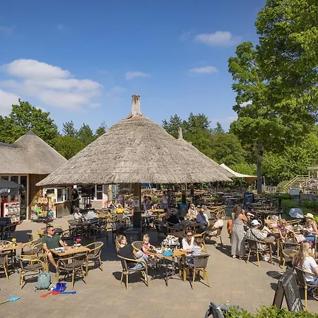 Marvilla Parks - Roan 캠프장 *