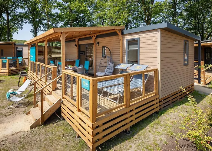 Marvilla Parks - Roan *