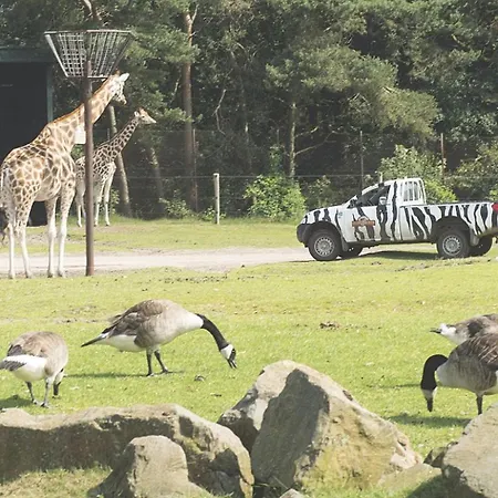 Marvilla Parks - Roan